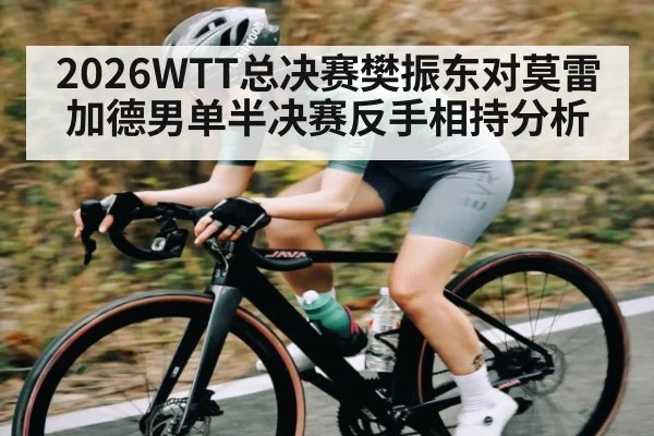 2026WTT总决赛樊振东对莫雷加德男单半决赛反手相持分析